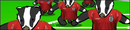 Footballbadger
