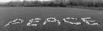 50 naked women spelling out the word peace - klik voor groter beeld